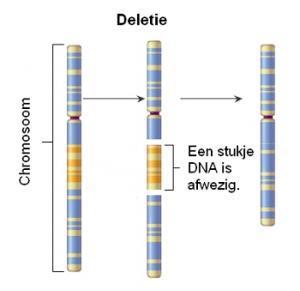 Chromosoom-deletie